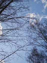 Similar image 22717954