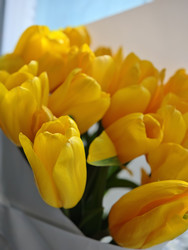 Similar image 22717960