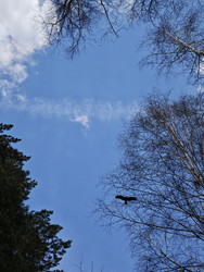 Similar image 22717967