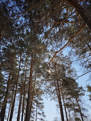 Similar image 22717968