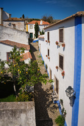 Similar image 22719502