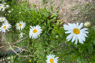 Similar image 22711347
