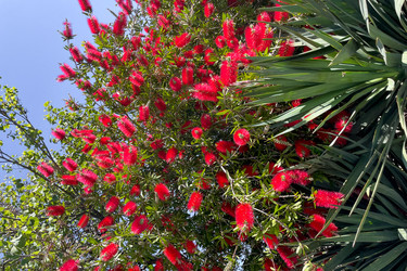 Similar image 22711394