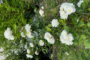 Similar image 22711439