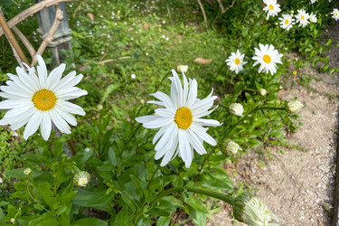 Similar image 22711574