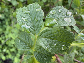 Similar image 22717481