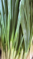Similar image 22717483