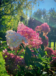 Similar image 22733506