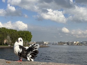 Similar image 22717496