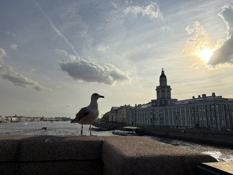 Similar image 22717500