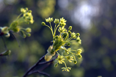 Similar image 22724912