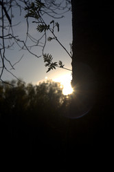 Similar image 22724914