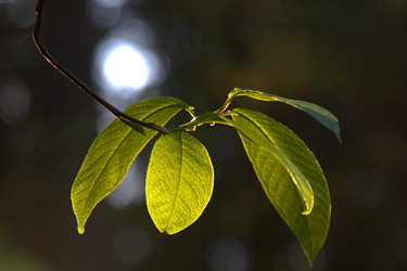 Similar image 22724915