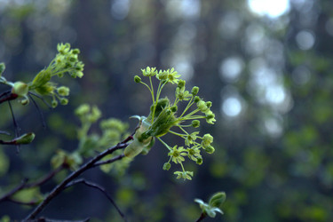 Similar image 22724916
