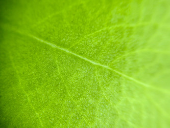 Similar image 22734877