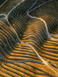 Similar image 22719858