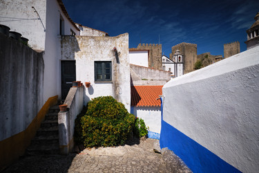 Similar image 22719495