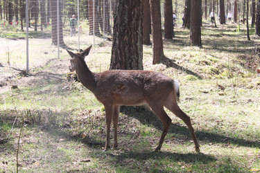 Similar image 22752413