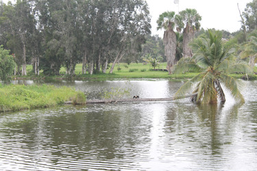 Similar image 22717841