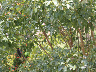 Similar image 22717842