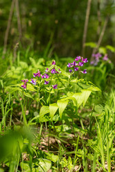 Similar image 22718539