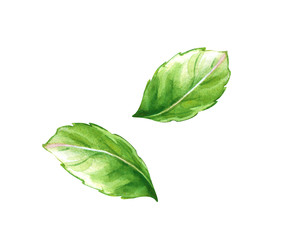 Similar image 22722207