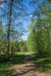 Similar image 22718554