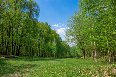 Similar image 22718556