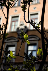 Similar image 22766070