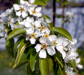 Similar image 22718204