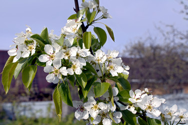 Similar image 22729677