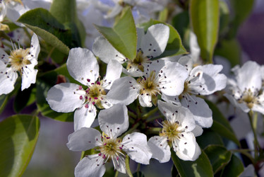 Similar image 22718207