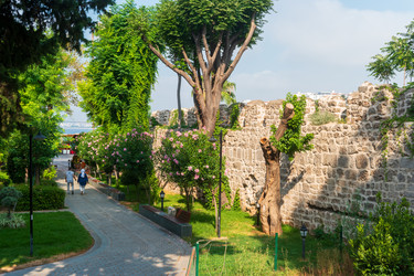 Similar image 22718708