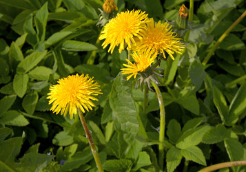 Similar image 22718208