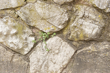 Similar image 22729725