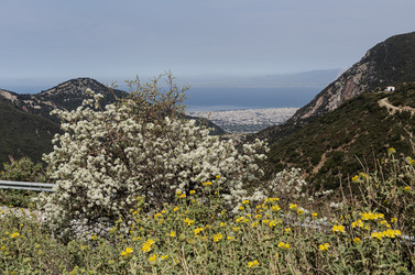 Similar image 22729726