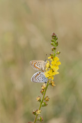 Similar image 22746910