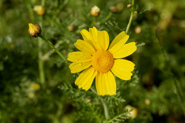 Similar image 22729728