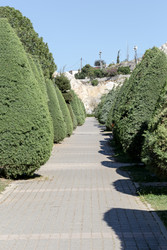 Similar image 22746913