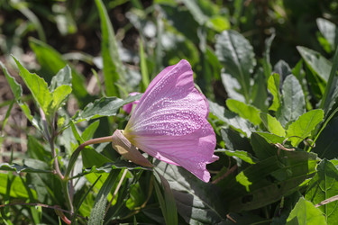 Similar image 22746915