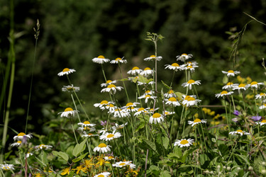 Similar image 22767500