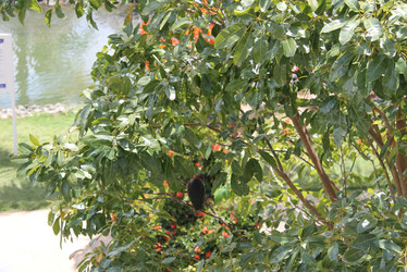 Similar image 22717867