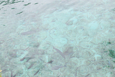Similar image 22717849