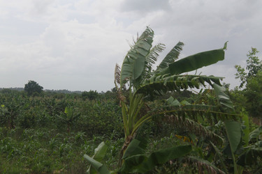 Similar image 22717854