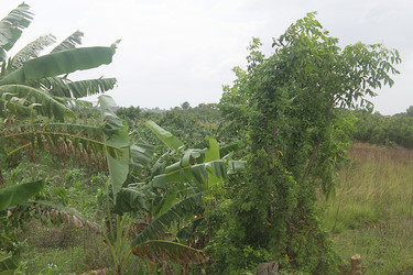 Similar image 22717868