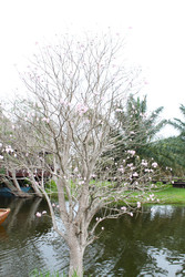Similar image 22717871