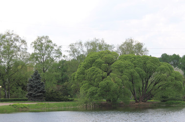 Similar image 22717856