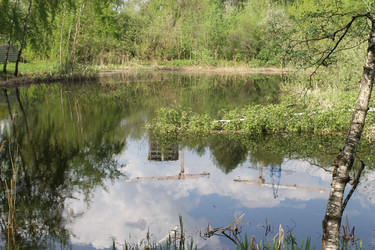 Similar image 22717857