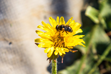 Similar image 22734888