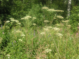 Similar image 22717861